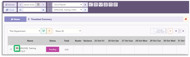 Timesheet Summary Module Overview